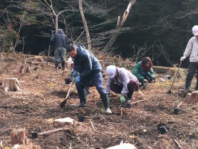 島ノ川渓谷の植樹報告